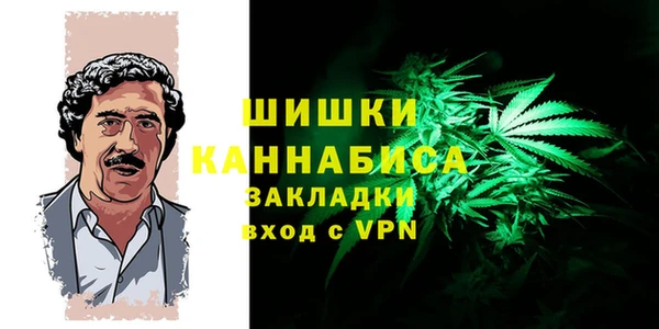 крисы Богданович