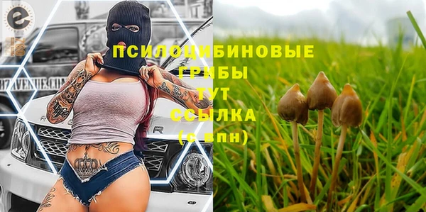 a pvp Богородск