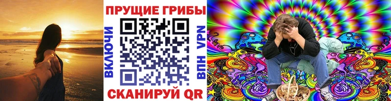 Псилоцибиновые грибы Psilocybine cubensis  Кингисепп 
